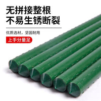 Plant Support Stakes for Climbing Vines, Cucumbers, Grapes, Tomatoes, Roses, and Outdoor Vegetable Gardens