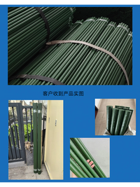 30-Pack Thickened Plastic-Coated Steel Pipe Garden Trellis for Climbing Plants, Beans, Cucumbers, Tomatoes, and Loofah