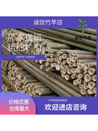 Bamboo Stakes for Garden Trellis, Vegetable Support, Cucumber Tomato Bean Plant Climbing, Small Bamboo Poles for Grape Vines