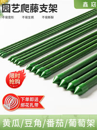 Garden Plant Support Stakes for Climbing Vines, Tomatoes, Cucumbers, and Flowers - Heavy Duty Trellis for Yard and Vegetable Gardens