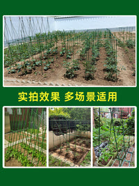 Garden Plant Support Stakes Coated Steel Trellis for Climbing Plants Outdoor Patio Flower Stand Anti-Toppling Support Rods