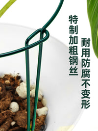 Plant Support Stakes for Climbing Vines, Roses, and Potted Plants - Anti-Toppling Garden Trellis for Flowers and Vegetables