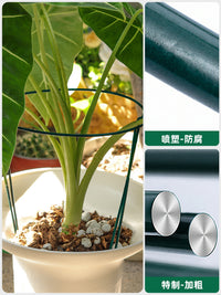 Plant Support Stakes for Climbing Vines, Roses, and Potted Plants - Anti-Toppling Garden Trellis for Flowers and Vegetables