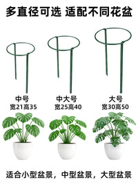 Plant Support Stakes for Climbing Vines, Roses, and Potted Plants - Anti-Toppling Garden Trellis for Flowers and Vegetables