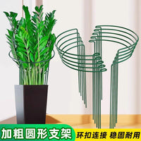 Plant Support Stakes for Potted Plants, Half-Round Metal Plant Cages for Flowers, Money Tree, Monstera, and Snake Plant