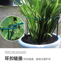 Plant Support Stakes for Potted Plants, Half-Round Metal Plant Cages for Flowers, Money Tree, Monstera, and Snake Plant