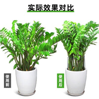 Plant Support Stakes for Potted Plants, Half-Round Metal Plant Cages for Flowers, Money Tree, Monstera, and Snake Plant