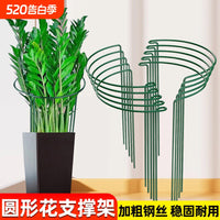Plant Support Stakes Half-Round Metal Garden Supports for Potted Plants, Flowers, and Vines - Anti-Toppling