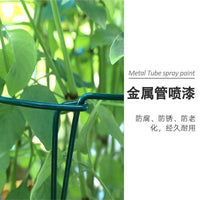 Plant Support Stakes Half-Round Metal Garden Supports for Potted Plants, Flowers, and Vines - Anti-Toppling
