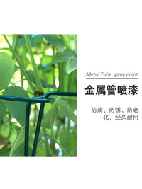 Iron Art Money Tree Plant Support Frame Crab Claw Orchid Flower Stand Anti-Toppling Semi-Circular Support
