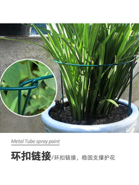 Iron Art Money Tree Plant Support Frame Crab Claw Orchid Flower Stand Anti-Toppling Semi-Circular Support