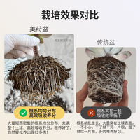 Meishi Small White Resin Succulent Planter Pot Set with Drainage Tray and Root Control Plastic Stand