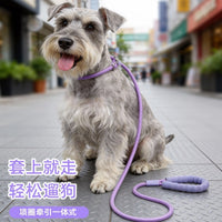 Pet Dog Leash for Small to Medium Dogs, Anti-Explosive Punch Training Leash, Outdoor Walking Rope