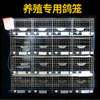 Thickened Pigeon Cage Large Extra Large Ingot Pigeon Breeding Cage Mating Breeding Meat Pigeon Cage