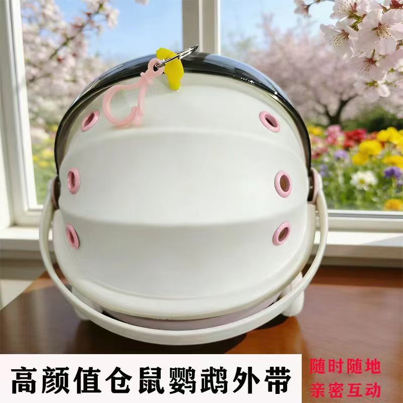 Cute Portable Pet Carrier for Small Birds and Hamsters - Travel Cage with Handle