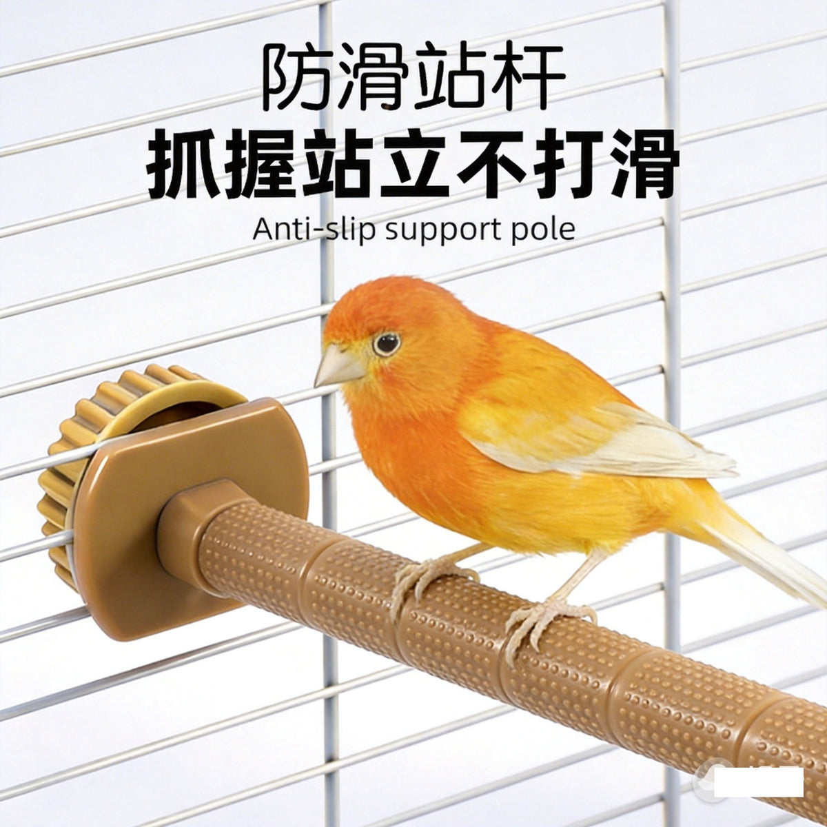 2026 New Multifunctional Bird Bath and Perch Stand 2-in-1 Anti-slip Hanging Cage for Finches Canaries and Budgies