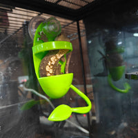 Arboreal Reptile Climbing Frame Bathing Water Basin Suction Cup Terrarium Decor for Tree Frogs Crested Geckos
