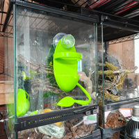 Arboreal Reptile Climbing Frame Bathing Water Basin Suction Cup Terrarium Decor for Tree Frogs Crested Geckos