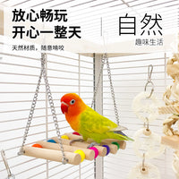 Parrot Toy Set with Swing, Perch, and Climbing Ladder