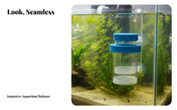 Guppy Breeder Enclosure Prevents Cannibalism Buoyant Aquatic Creature Breeder Box Buoyant Aquatic Creature Hatchery Good Water