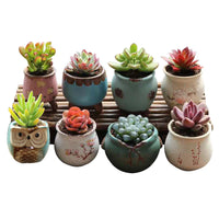 Ceramic Succulent Planter Pot Set with Breathable Drainage, Vintage Style Mini Flower Pots for Indoor Plants