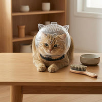 Pointed Ears Antinip Pet Head Cover Visibility Openings Transparent Feline Muzzle