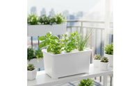 Sunlight Friendly Hydroponic Planting Box Home Gardening Hydroponic Growing Box Easy to Use Pods Kit Reusable for Beginners, Indoor