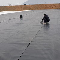 High-density Polyethylene Waterproof Sheet Geomembrane For Farmers Impermeable Sheet Thick Black