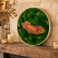 framed moss art