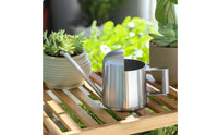Mini Stainless Steel Watering Pot Lightweight Watering Can Mini Stainless Steel Waterer for Children