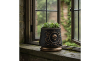 Skull Planter Ornate Planter with Skull Relief Flowerpot Decorative Halloween for Goth Decor Lovers, Desk, Windowsill