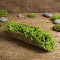 Woodland Decorative Mossy Tree Bark Woodland-Themed Artificial Tree Bark Decor Naturalistic Moss Covered Log Rustic for Terrarium, Photography Setup, Shop Display