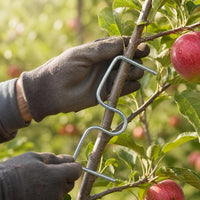 M-Type Fruit Tree Branch Spreader for Shaping and Fixing Branches