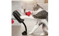 Interactive Cat Boxing Toy Padded Spring Cat Toy for Apartments