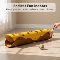 Foldable Cat Tunnel Bed with Detachable Washable Mat, Interactive Play Toy for Cats, All Seasons