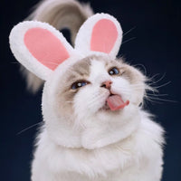 Pet Bat/Spider Hat for Cats and Small Dogs, Rabbit Ear Design, Birthday Party Costume Accessory
