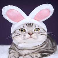 Pet Bat/Spider Hat for Cats and Small Dogs, Rabbit Ear Design, Birthday Party Costume Accessory