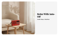 Carrying Strap Portable Radio Speaker Keypad-Style Controls Digital Radio Speaker