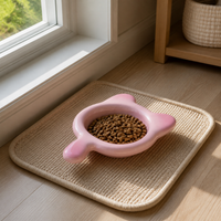 Ceramic Cat Food Bowl with Handle, Anti-Vomiting, Anti-Black Chin, Shallow Dish for Kittens and Small Pets