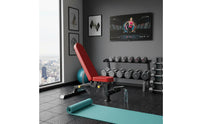 Dumbbell Bench Heavy Duty Steel Frame Sit up Bench Thick Padded Cushion Fitness Equipment for Home Gym