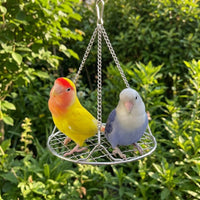 Hammock for Birds with Cushion Pad, Stainless Avian Cage Hammock and Swing Toy, Large Bird Perch Hanging for African Grey and Cockatiels