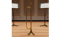 Gold Finish Bugle with Gloves Brass Bugle Big Bell Design Wind Instrument Portable for Students, Beginners, School Band, Drum Corps