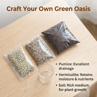 terrarium kit