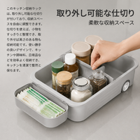 Under Sink Storage Organizer, 2-Tier Sliding Drawer, For Detergent & Cleaning Supplies, Kitchen, With Casters
