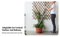 mountable surfaceMountable Expandable Lattice Panel Indoor & exteriordoor Use Expandable woven Trellis Easy Installation Plant assist adaptable for Gardeners, homeowners, DIY hobbyists, Balcony, Patio, Backyard, Fencing