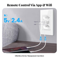 WiFi Power Outlet with Charging Port C Spoken Control Brazilian Common Wall Recept Electric Le Smart Wall Socket with Charging