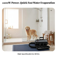 Variable Speed Dog Grooming Force Dryer Adjustable Heat Pet Hair Force Dryer Low Noise Heated Dog Blower Sturdy Engine for Professional Groomers