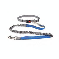 Woven Strap Pet Collar Leash Kit for Walking