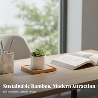 Cactus Pot Tray Water Catchment Bamboo Plant Dish Small Plant Pot Drain Tray Minimalist Design Wooden Planter Base Long-Lasting
