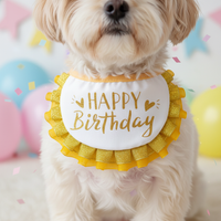 Cat Birthday Hat and Bib Set for Pets, Decorative Scarf and Hat for Photo Props